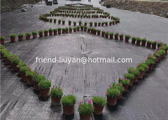 Strong Strength PP Weed Control Cover Fabric 100gsm Durable PP Woven Cover Fabric