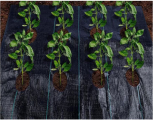 Strong Strength PP Weed Control Cover Fabric 100gsm Durable PP Woven Cover Fabric
