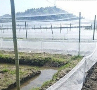 HDPE UV Treated Insect Proof Agricultural Netting Provides Tear Resistance